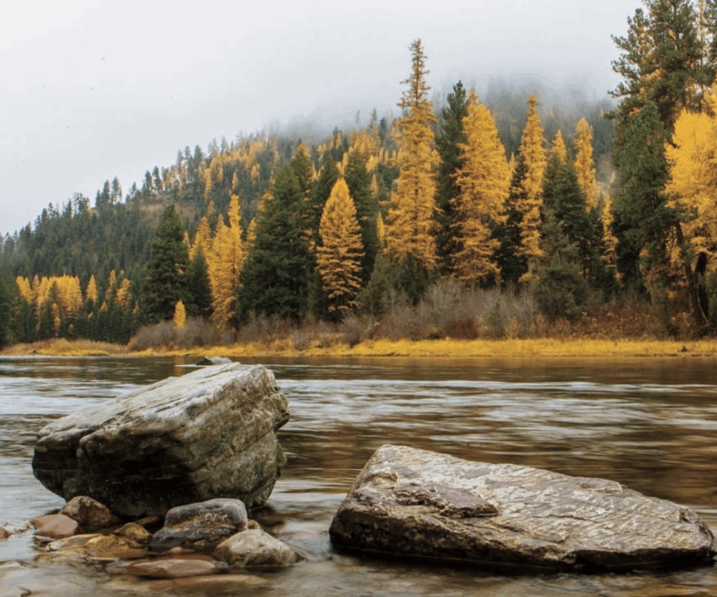 The Resort at Paws Up Fall Family Vacation
