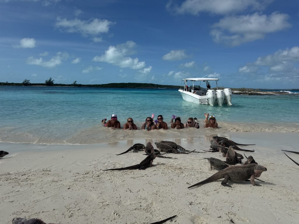 Bahamas Iguana Island