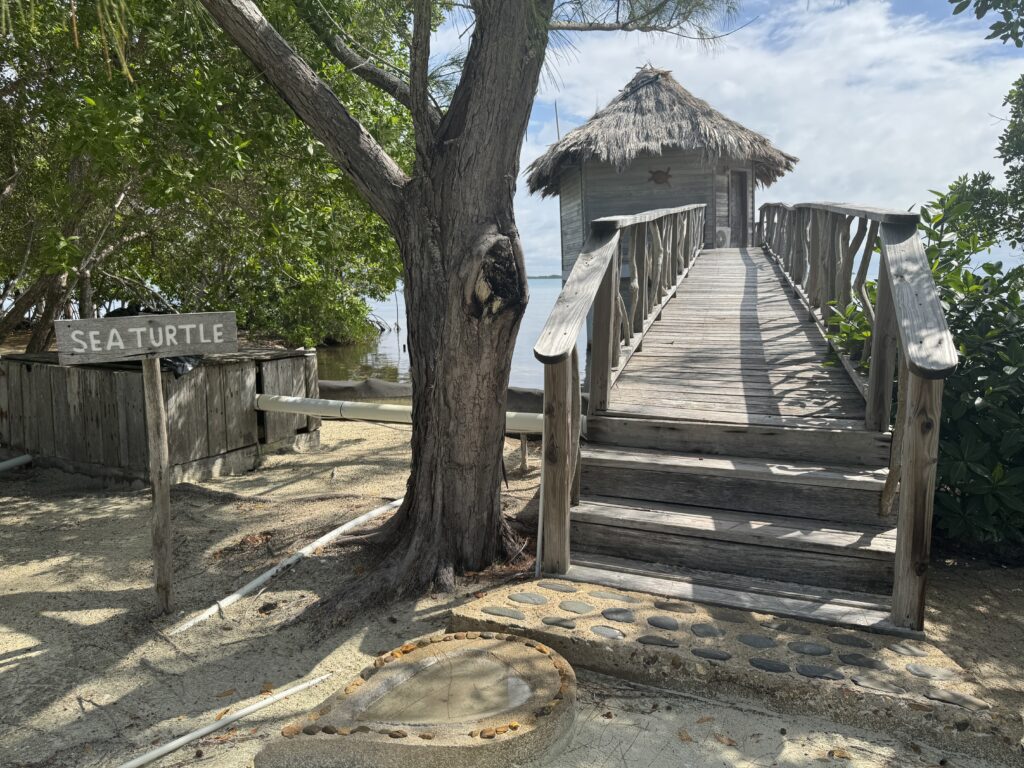 overwater bungalow thatch caye