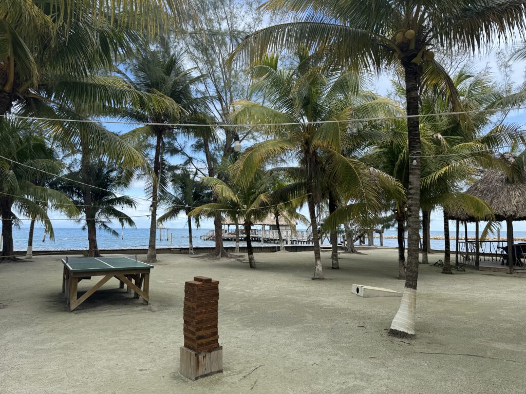 thatch caye belize